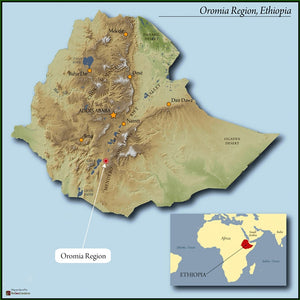 Ethiopia Sidama Natural Organic Oromia