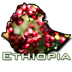 Ethiopia Sidama Natural Organic Oromia