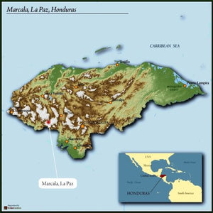 Honduras Organic Raos Marcala