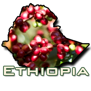 Ethiopia Sidama Natural