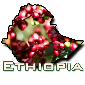 Ethiopia Sidama Natural