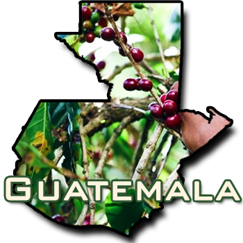 Guatemala Huehuetenango Mam SHB