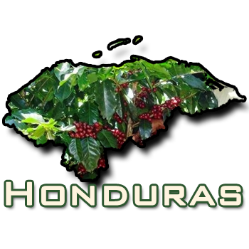 Honduras Organic Raos Marcala