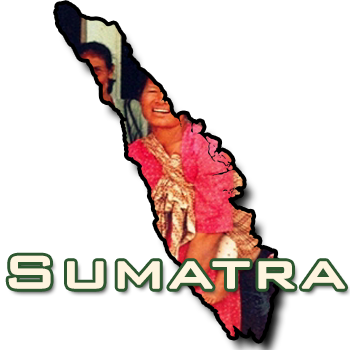 Sumatra Gayo